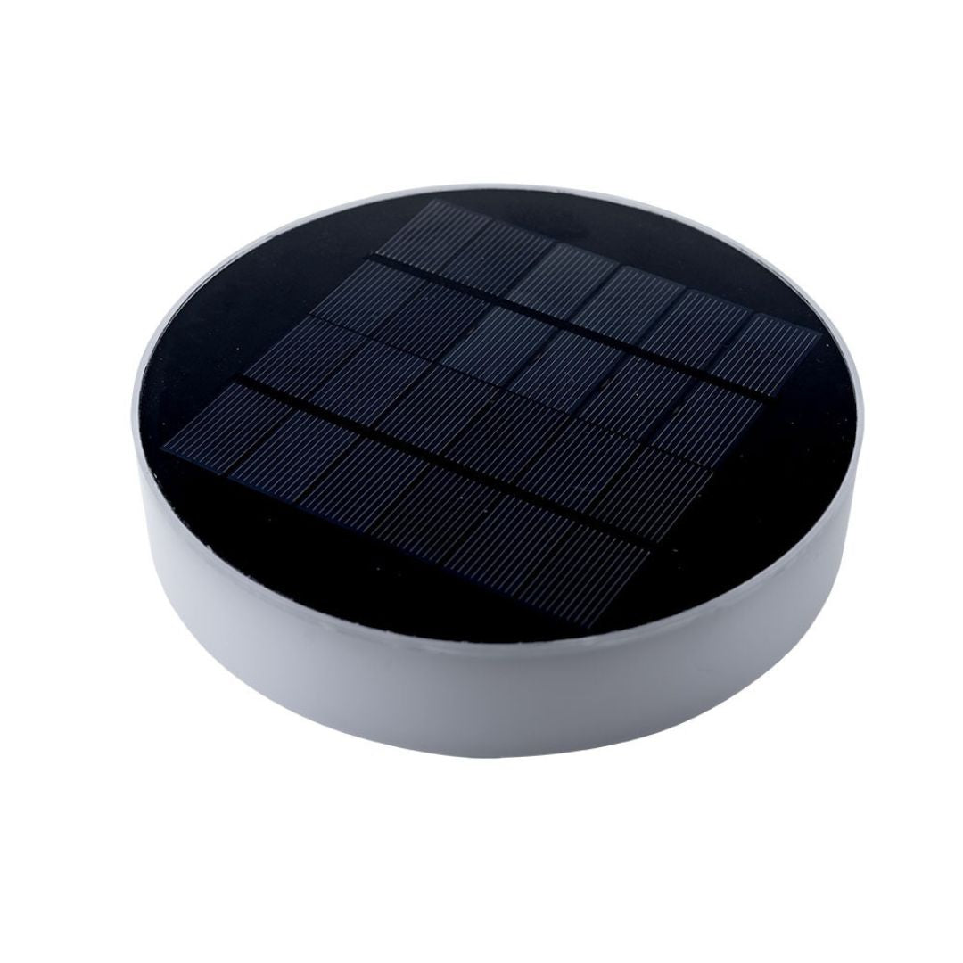 Zwarte Solar LED Tuinlamp met Grondspies voor Buiten