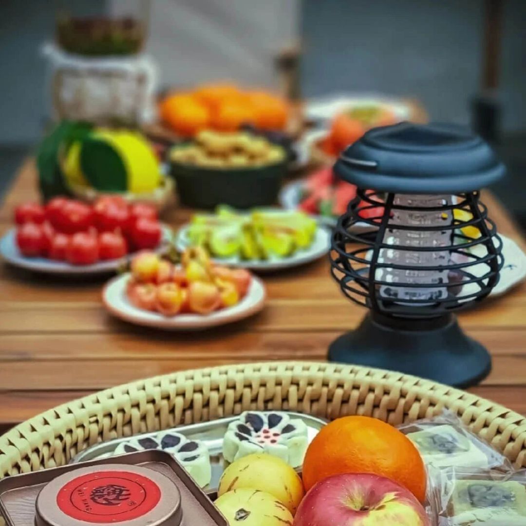 Zonne-energie Muggenlamp met UV-A LED en Veiligheidsfuncties - Tuin en Camping