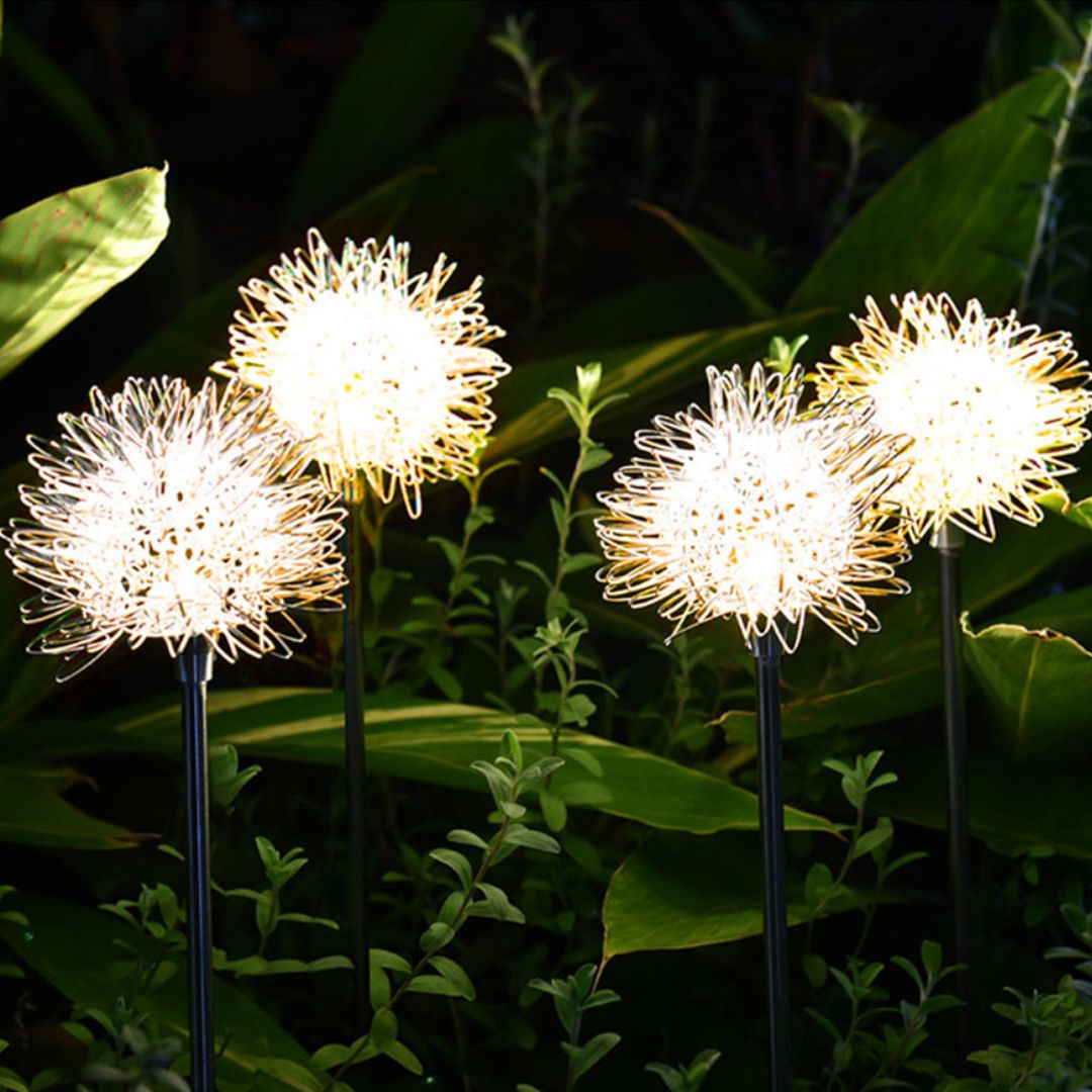 Zonne-energie Tuinverlichting LED Dandelion Lamp – Weerbestendig en Sfeervol