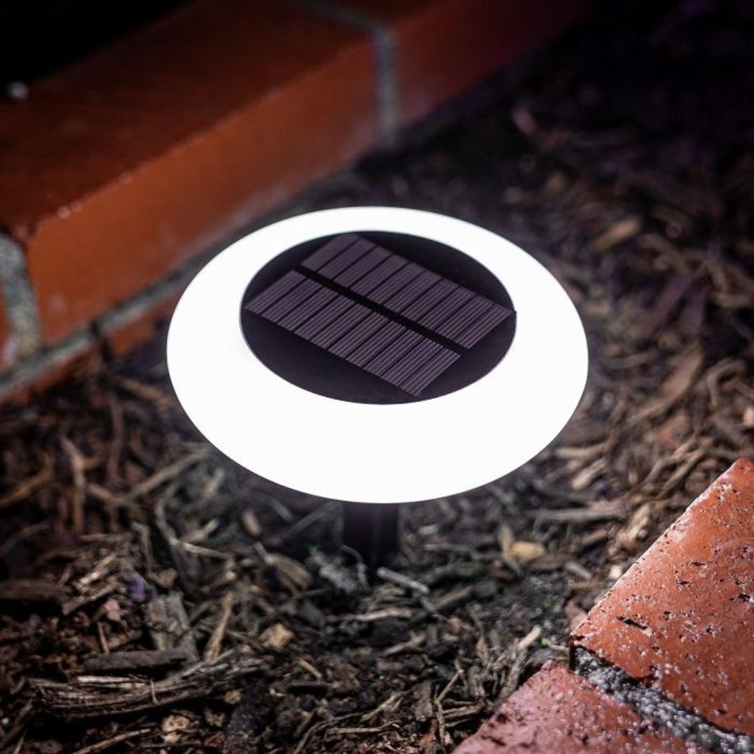 Multicolor Solar Tuinverlichting met Dusk to Dawn Technologie - 24 Kleuren