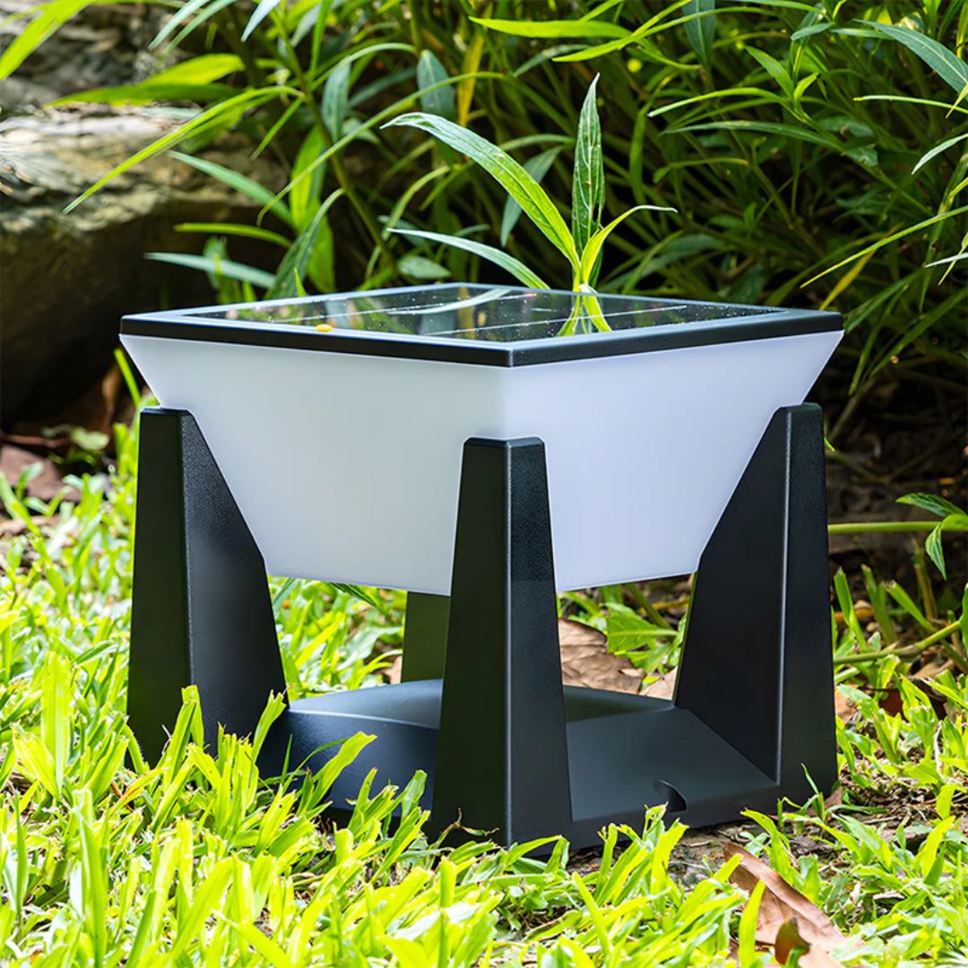 Zwarte Buitenlamp met Sensor en Zonne-energie – Weerbestendige Solar Wandlamp voor Tuin en Patio
