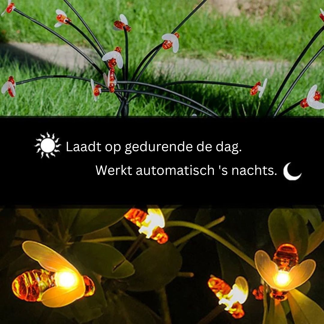 Waterdichte Tuinlampen Solar met 24 LED's – Zonne-energie Bijontwerp