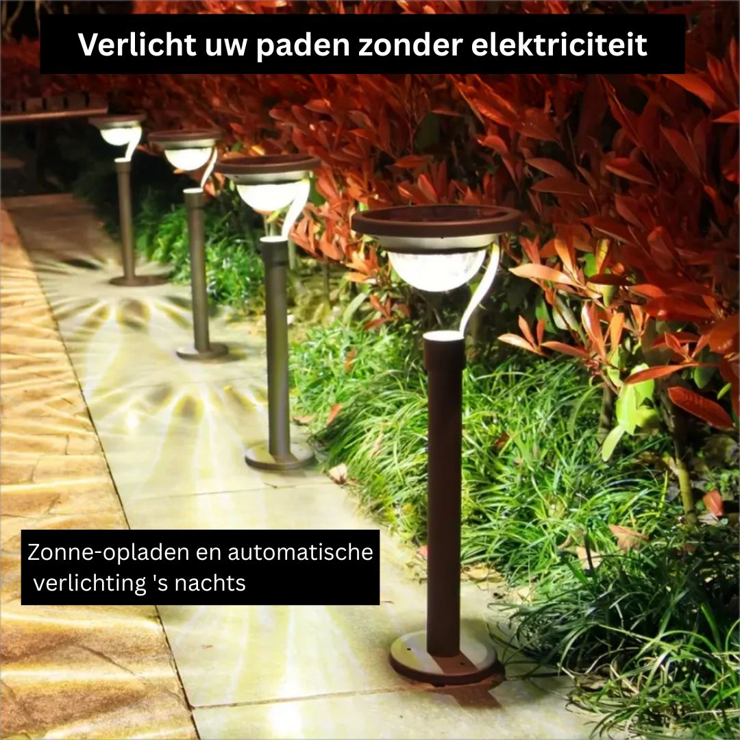 Zonne-energie Tuinlamp met Automatische Verlichting en IP65 Bescherming