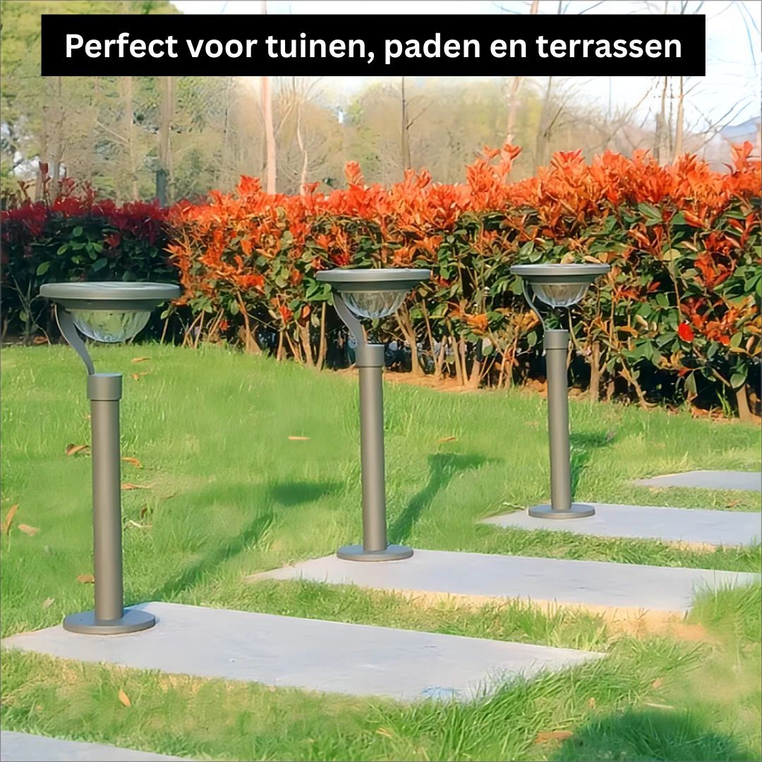 Zonne-energie Tuinlamp met Automatische Verlichting en IP65 Bescherming