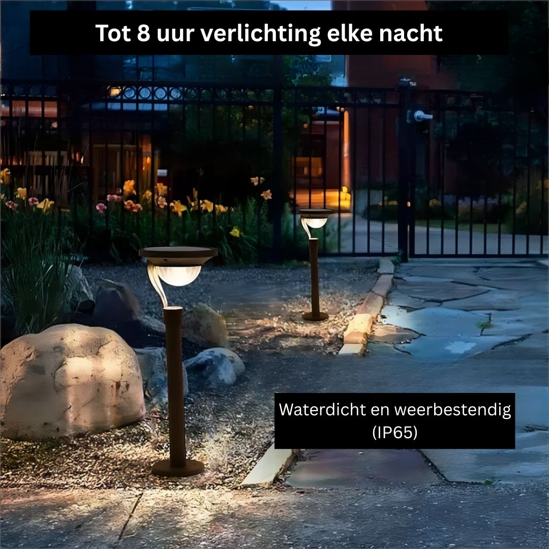 Zonne-energie Tuinlamp met Automatische Verlichting en IP65 Bescherming