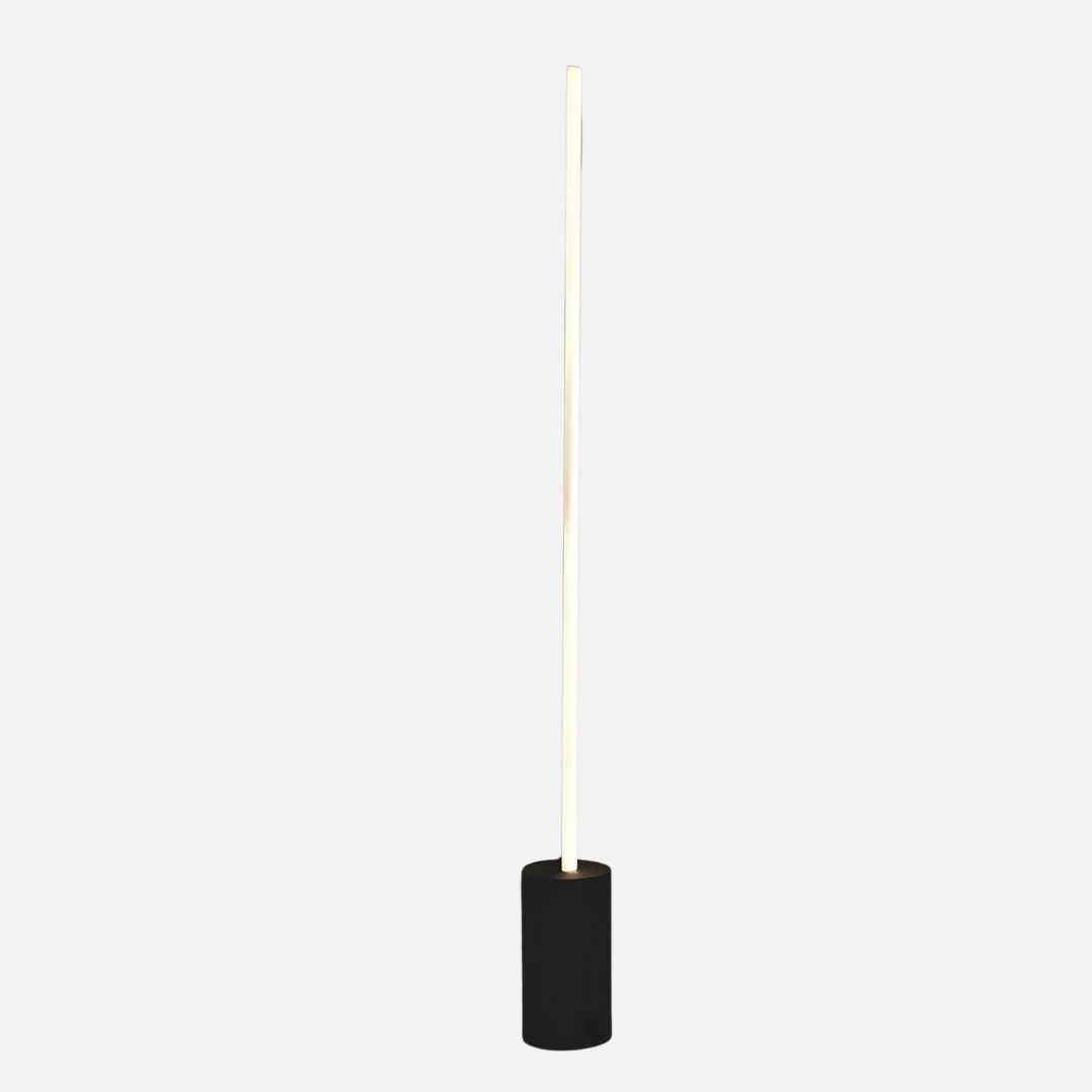 Moderne Buitenlamp met IP65 Bescherming en Mat-Zwarte Afwerking