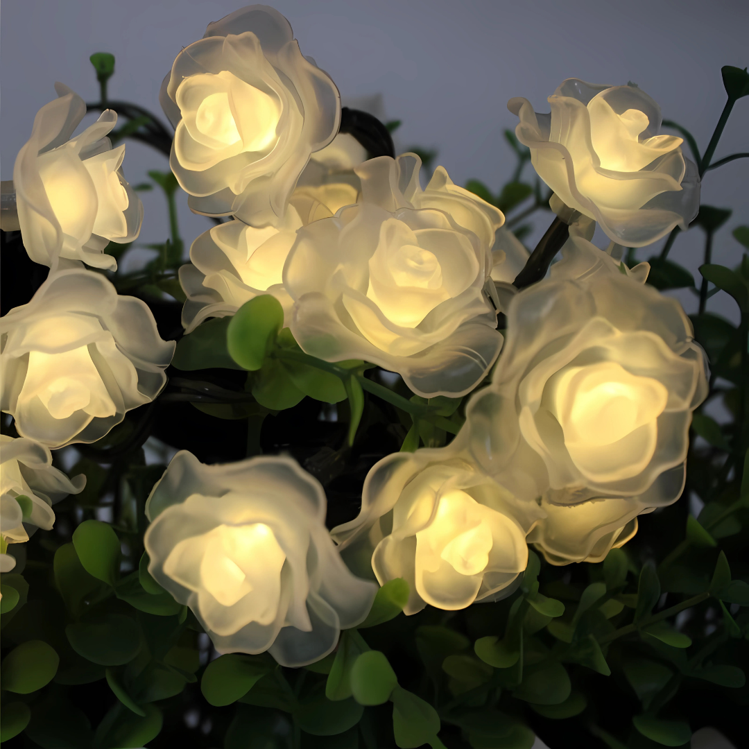 LED Rozen Sfeerverlichting Warm Wit Witschuim of Mat